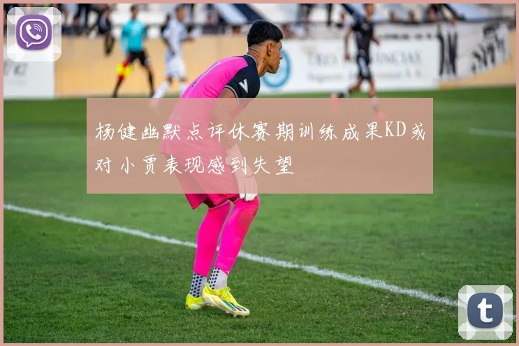 杨健幽默点评休赛期训练成果KD或对小贾表现感到失望